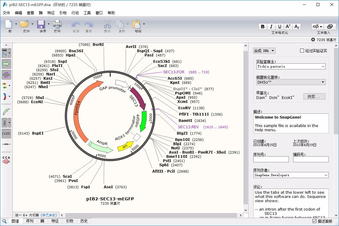 SnapGene,分子生物学软件,可视化生物学,分子生物学模拟