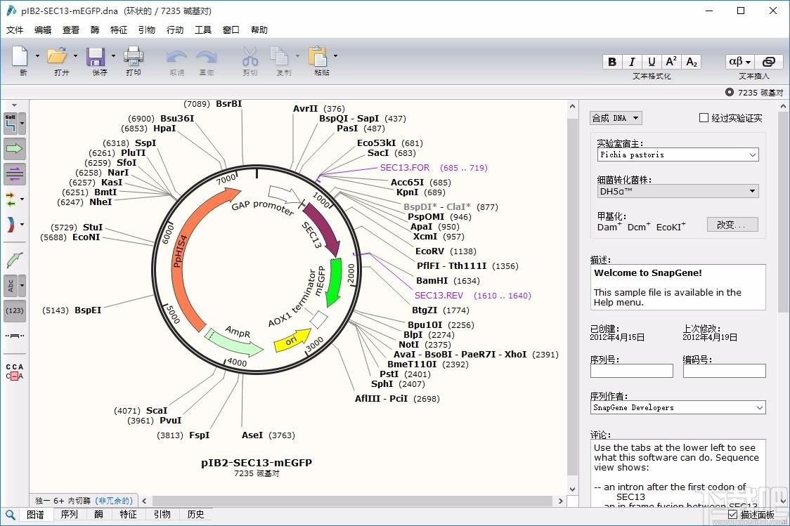 SnapGene,分子生物学软件,可视化生物学,分子生物学模拟