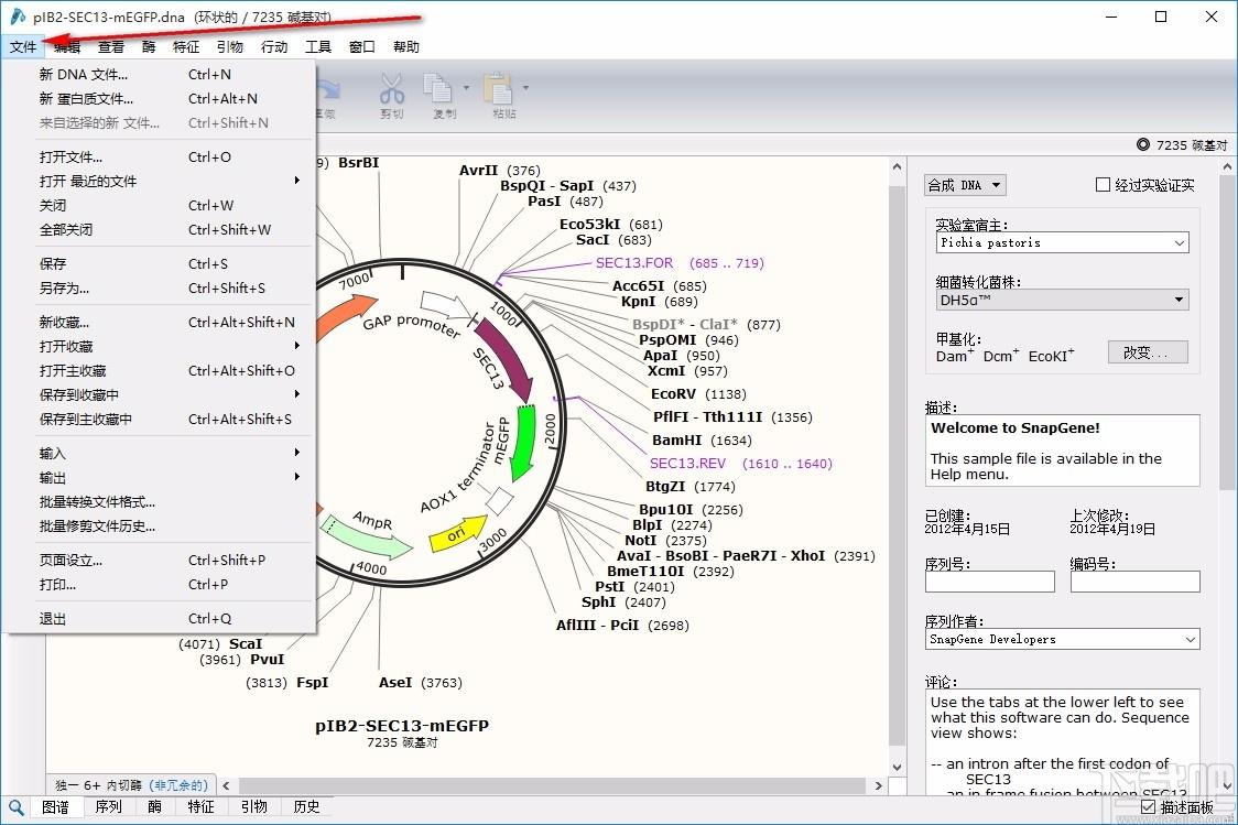 SnapGene,分子生物学软件,可视化生物学,分子生物学模拟